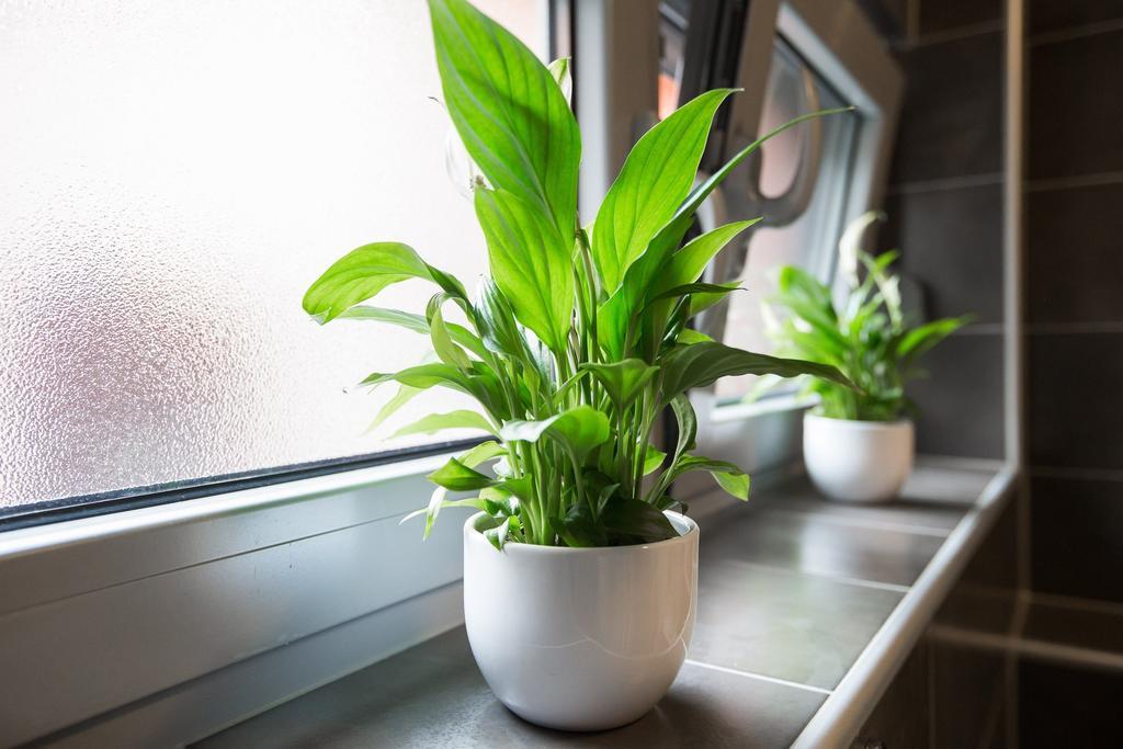 Max Apartman Zagreb